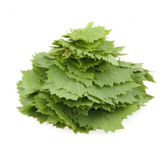 Fresh Grape Leaves