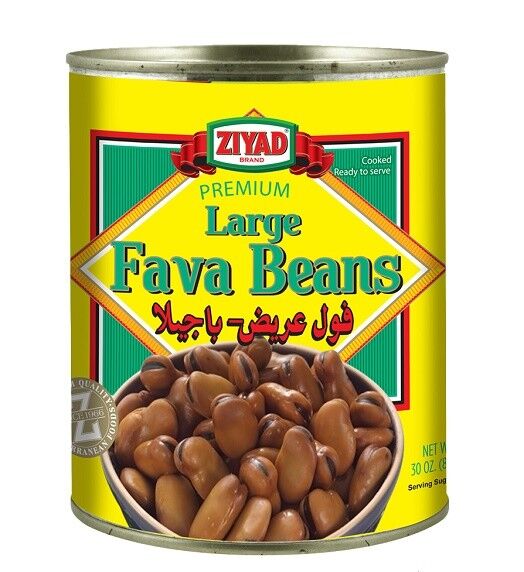 Ziyad Large Fava Beans